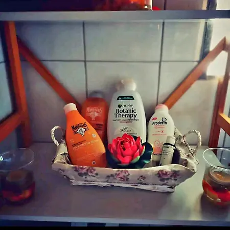 酒店 σοφίτα 